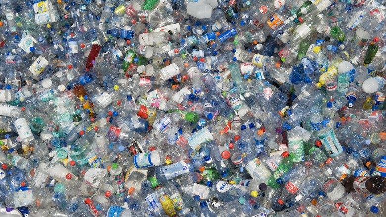 A jumble of empty plastic bottles await reuse.