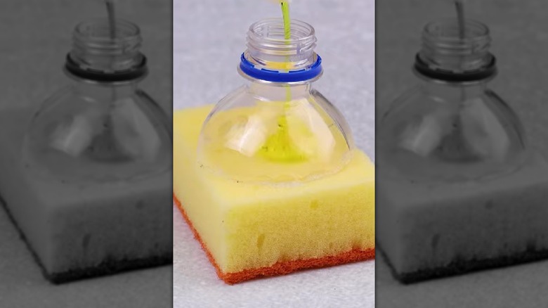 The top of water bottle spout affixed to a sponge.