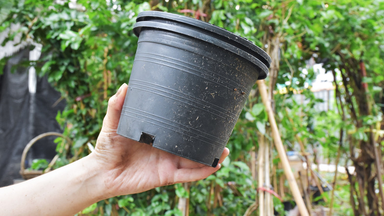 A hand holding two empty plastic plant pots