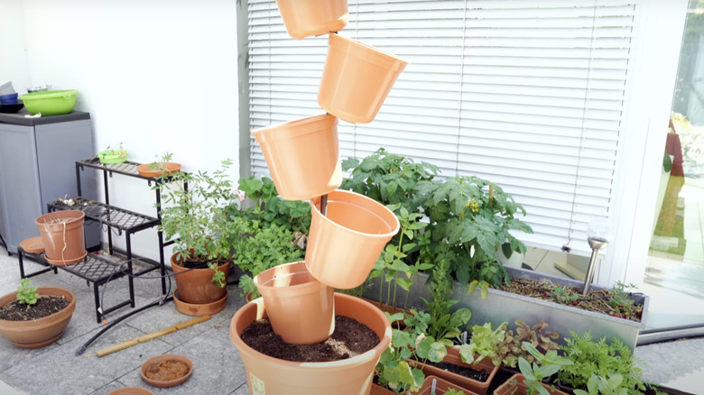 A tipsy tower vertical garden made from plastic nursery pots pushed onto a length of rebar
