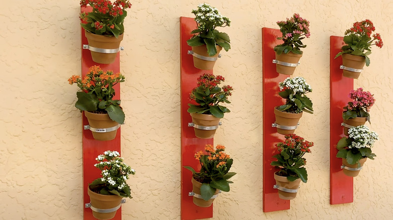 A plant featured wall made from planks of red-painted wood, metal brackets, and plastic nursery planters.