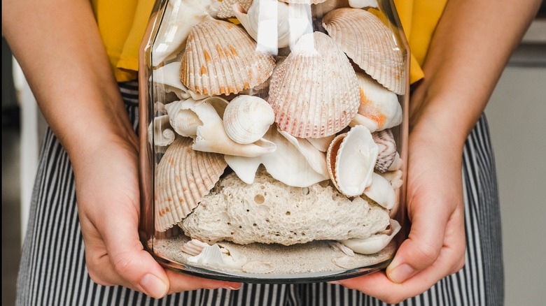 hands holding jar of seashells
