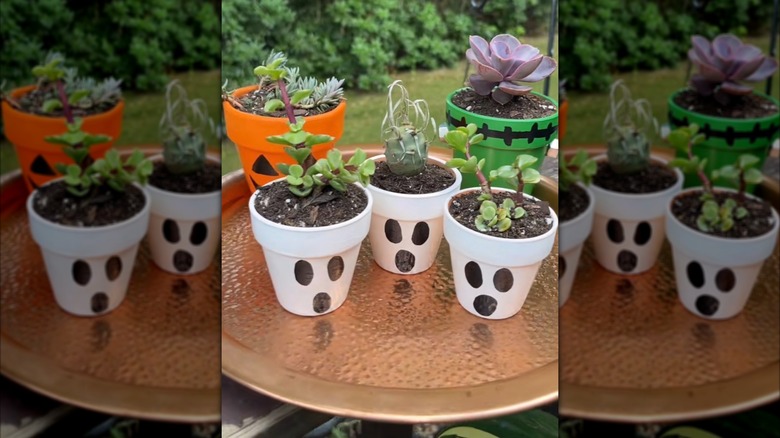 Five painted terracotta pots (a pumpkin, three ghosts, and Frankenstein's monster) turned into Halloween decor