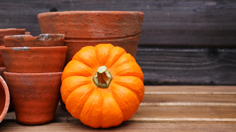 A few stacks of old terracotta pots and a small orange pumpkin