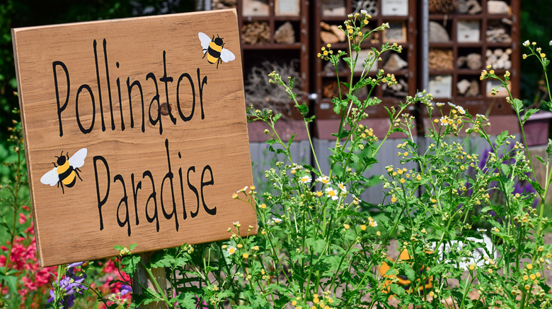 Pollinator Paradise sign in a garden with flowers and insect hotel in the background