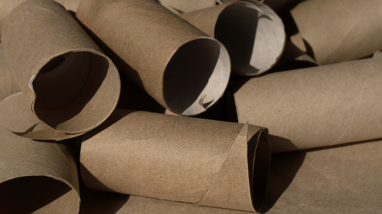 empty toilet paper rolls
