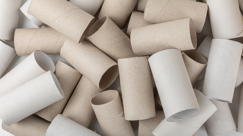 toilet paper tubes