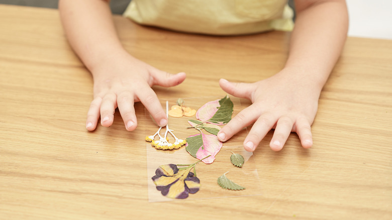 A person arranges pressed flowers on a piece of clear plastic