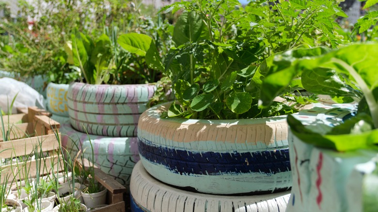 tire planters in sun