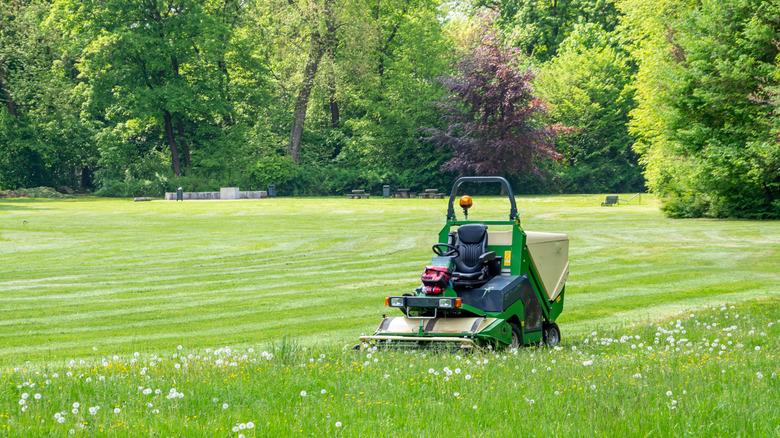 lawn tractor on field of grass and weeds.