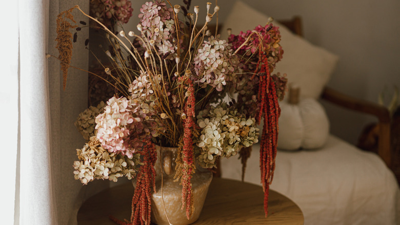 Dry hydrangeas and amaranth in a vase