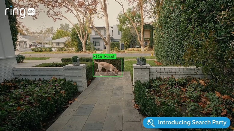 Screen grab from Ring's 2026 Super Bowl Commercial