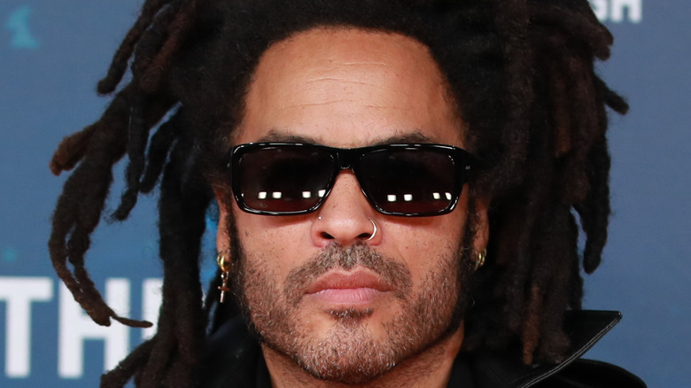 Lenny Kravitz close-up