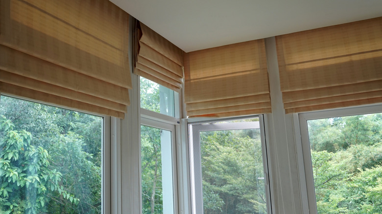 Multiple windows in living room with roman shades
