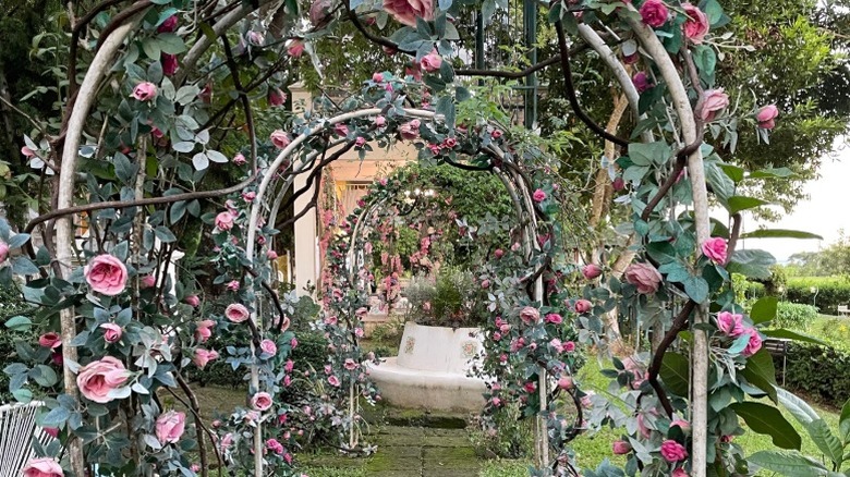 A rose arch leading to a seating area