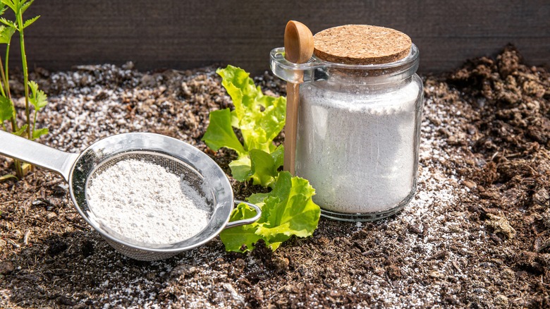 white powder jar in garden