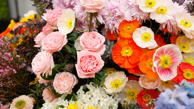 Variety of colorful flowers