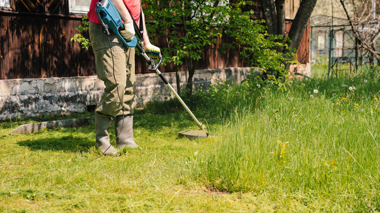 mowing tall grass
