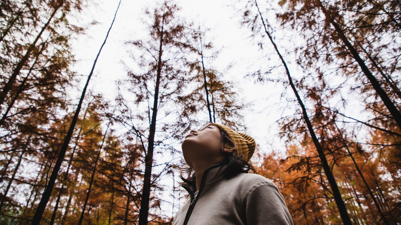 An Asian woman wearing glasses and cool weather gear looks up at fall leaves on the trees.
