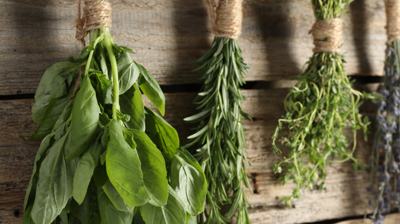 Bundles of drying herbs wrapped in twine hanging in front of wooden plank