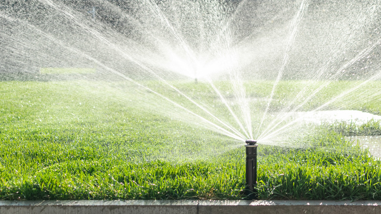 Sprinkler with water in grass