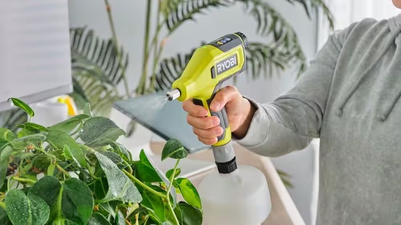 Person spraying plants with Ryobi power sprayer