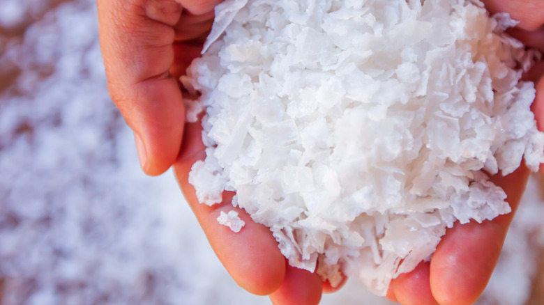 A person is holding a large amount of crystallized salt over a white ground