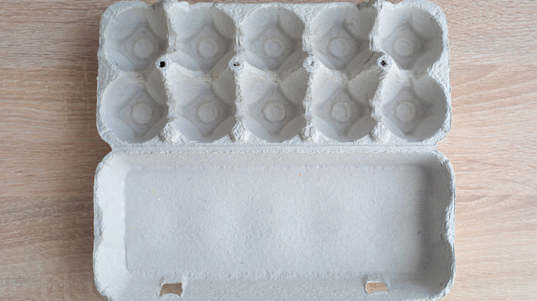 woman holding up an egg carton