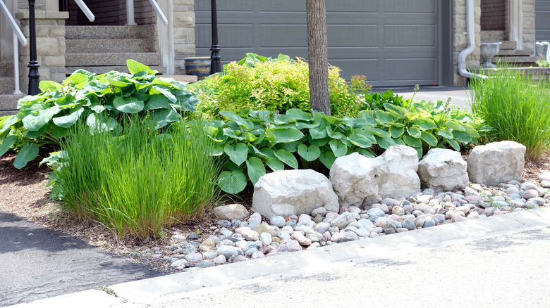 Front lawn with a line of large landscape rocks