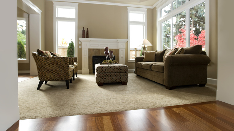carpet hardwood floors living room