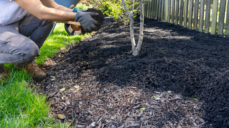 Someone putting handfuls of mulch into their garden bed