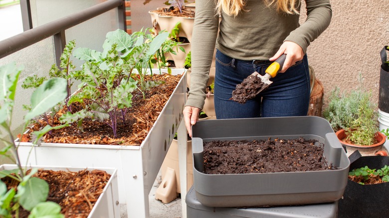 Person putting soil in bin