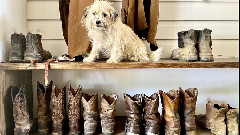 shoe storage with boots