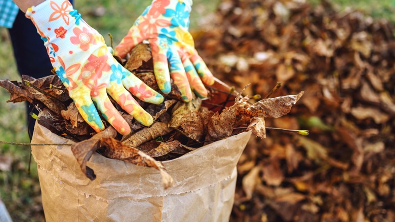 a person wearing floral gloves pushes fall leaves into a paper bag