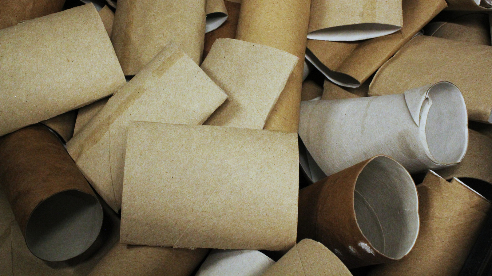 Repurpose Toilet Paper Rolls for Charming Year-Round Home Decor