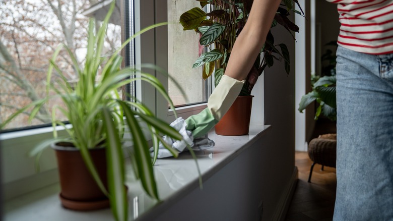 wiping water off window sill 