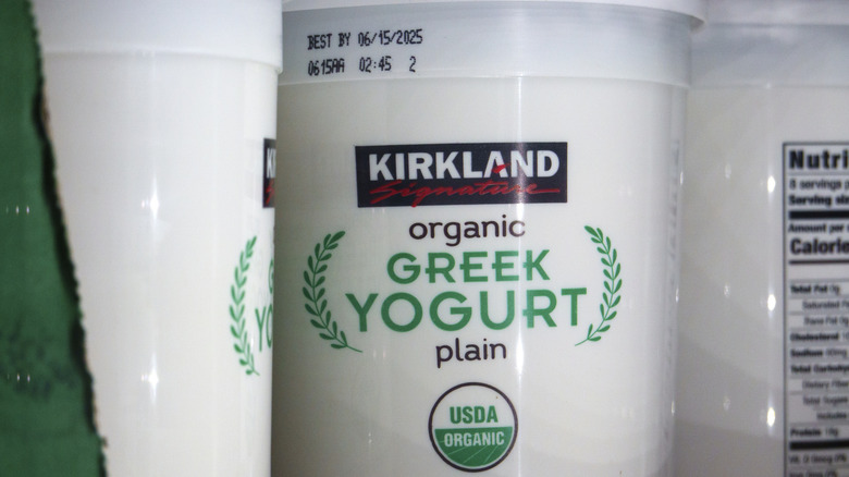 Plain yogurt containers on a grocery store shelf