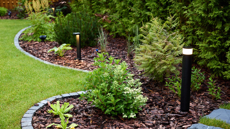 Garden plots edged with bricks with green plants surrounded by bark mulch.