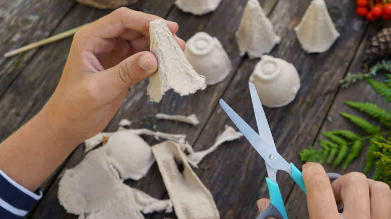 A person cutting sections put of a cardboard egg carton