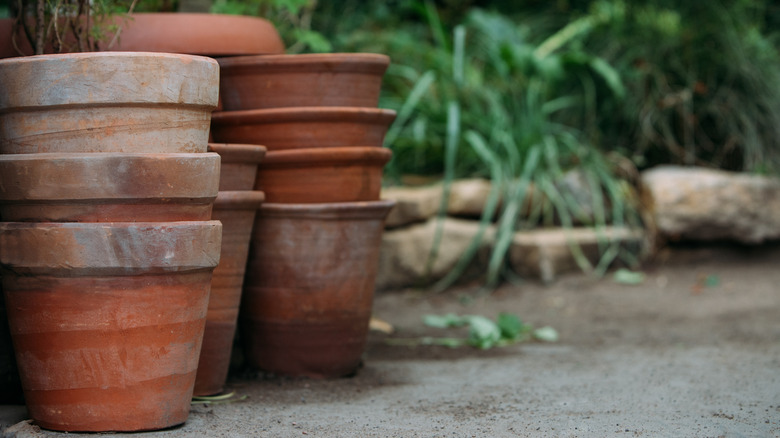 Empty terracotta pots stacked in a garden