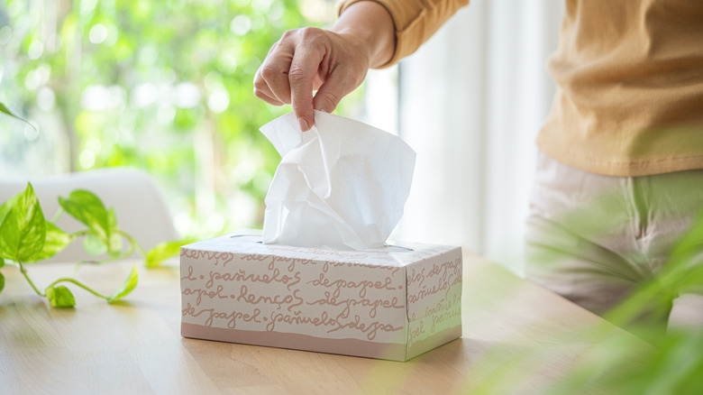 Someone pulling a tissue out of a tissue box