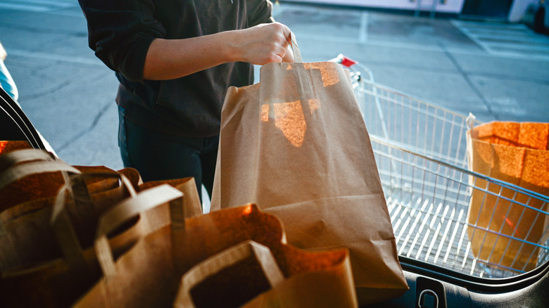 A person loading brown paper bags full of groceries into a car