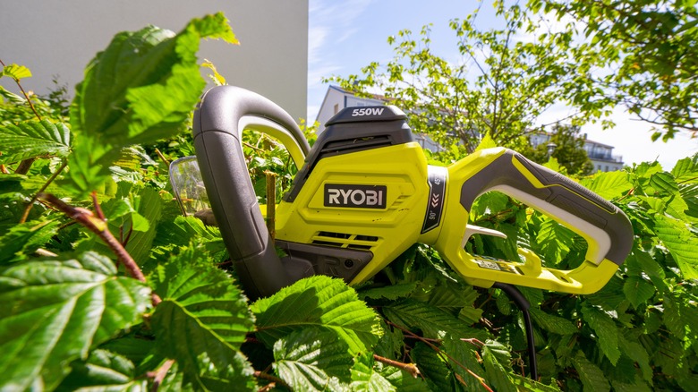 A Ryobi corded electric hedge trimmer