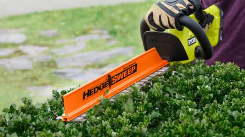 The Hedge sweep attachment on a Ryobi hedge trimmer