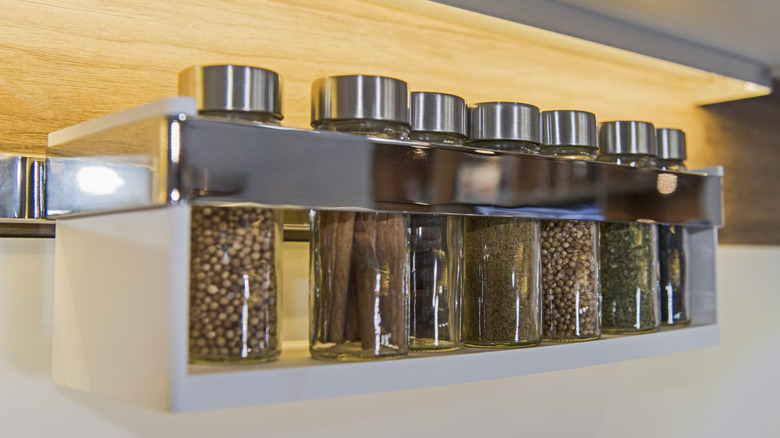 A magnetic spice rack holds various spices