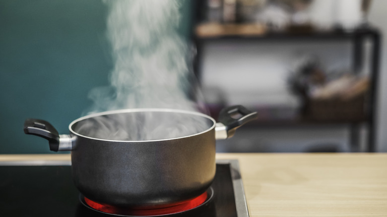 A pot of boiling water on the stove