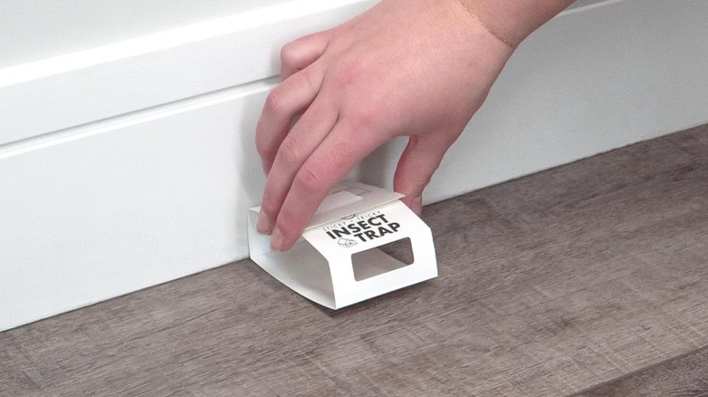 A person placing a sticky insect trap on the floor