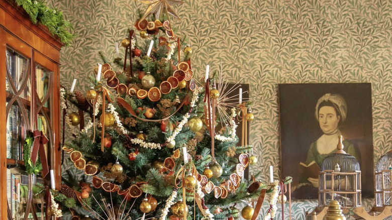A fluffy Christmas tree with dried orange and popcorn garland