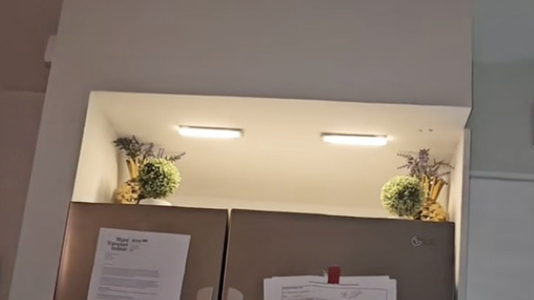 The creator's fridge with built in shelf, plants, decor, and spotlights