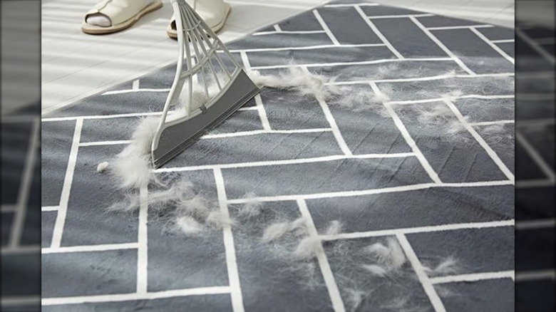 person using Broombi to remove pet fur from gray carpet